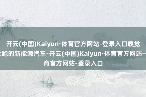 开云(中国)Kaiyun·体育官方网站-登录入口嗅觉以后路上跑的新能源汽车-开云(中国)Kaiyun·体育官方网站-登录入口