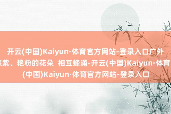 开云(中国)Kaiyun·体育官方网站-登录入口广外公交站旁  玫红、深紫、艳粉的花朵  相互蜂涌-开云(中国)Kaiyun·体育官方网站-登录入口