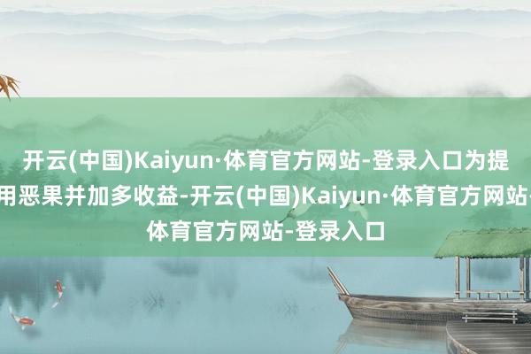 开云(中国)Kaiyun·体育官方网站-登录入口为提高资金使用恶果并加多收益-开云(中国)Kaiyun·体育官方网站-登录入口
