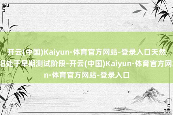 开云(中国)Kaiyun·体育官方网站-登录入口天然现在该车依旧处于早期测试阶段-开云(中国)Kaiyun·体育官方网站-登录入口
