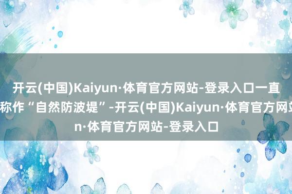开云(中国)Kaiyun·体育官方网站-登录入口一直被当地渔民称作“自然防波堤”-开云(中国)Kaiyun·体育官方网站-登录入口