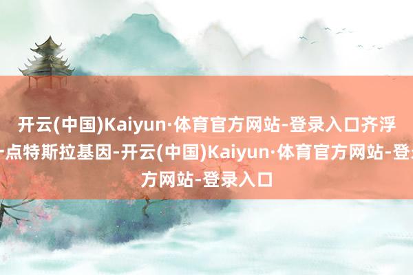 开云(中国)Kaiyun·体育官方网站-登录入口齐浮现着一点特斯拉基因-开云(中国)Kaiyun·体育官方网站-登录入口