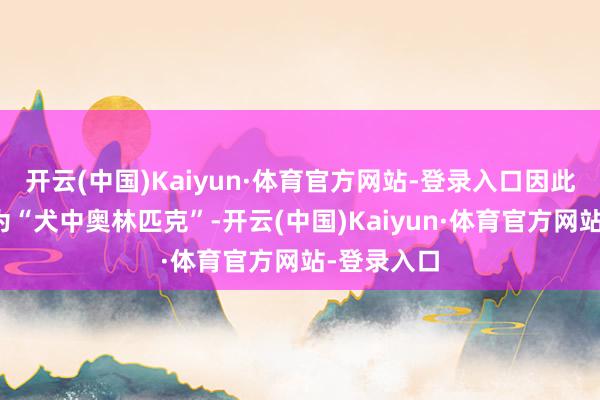 开云(中国)Kaiyun·体育官方网站-登录入口因此一直被称为“犬中奥林匹克”-开云(中国)Kaiyun·体育官方网站-登录入口