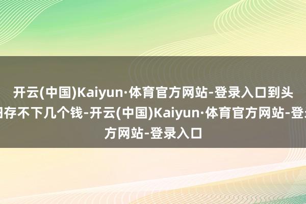 开云(中国)Kaiyun·体育官方网站-登录入口到头来照旧存不下几个钱-开云(中国)Kaiyun·体育官方网站-登录入口