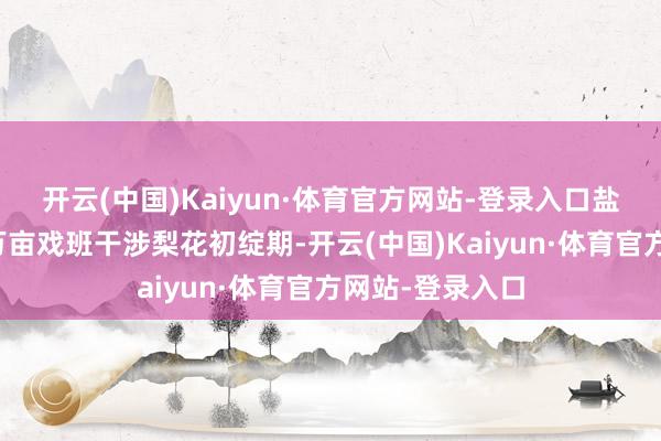 开云(中国)Kaiyun·体育官方网站-登录入口盐湖区泓芝驿镇万亩戏班干涉梨花初绽期-开云(中国)Kaiyun·体育官方网站-登录入口