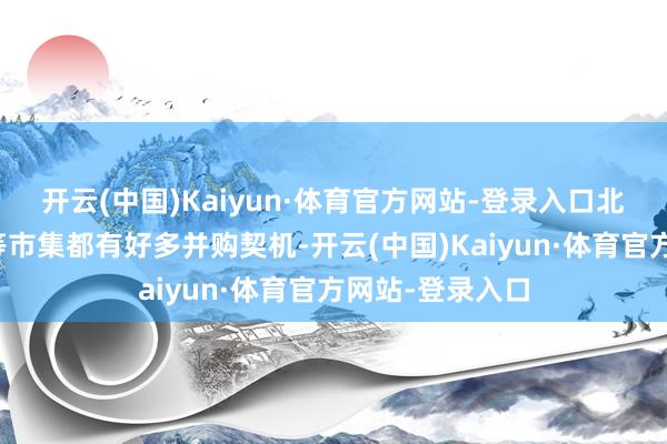 开云(中国)Kaiyun·体育官方网站-登录入口北好意思、日韩等市集都有好多并购契机-开云(中国)Kaiyun·体育官方网站-登录入口