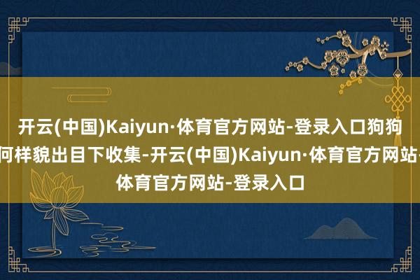 开云(中国)Kaiyun·体育官方网站-登录入口狗狗不不错任何样貌出目下收集-开云(中国)Kaiyun·体育官方网站-登录入口