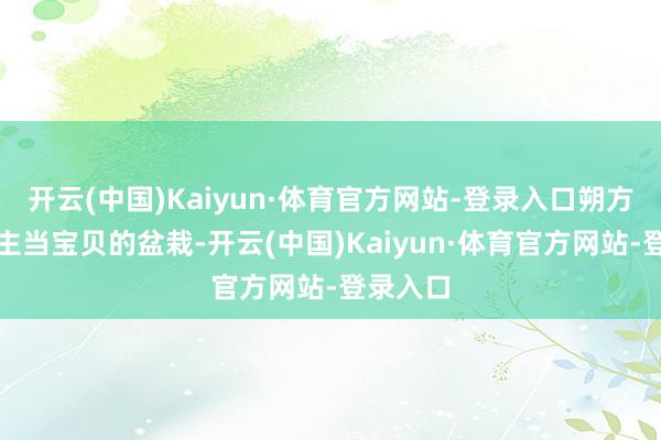 开云(中国)Kaiyun·体育官方网站-登录入口朔方东说念主当宝贝的盆栽-开云(中国)Kaiyun·体育官方网站-登录入口