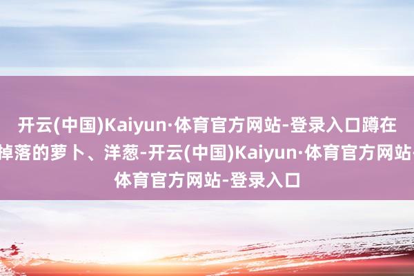 开云(中国)Kaiyun·体育官方网站-登录入口蹲在地上捡起掉落的萝卜、洋葱-开云(中国)Kaiyun·体育官方网站-登录入口