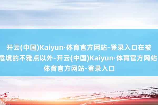 开云(中国)Kaiyun·体育官方网站-登录入口在被以为投入危境的不雅点以外-开云(中国)Kaiyun·体育官方网站-登录入口