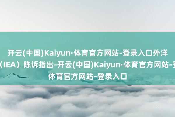 开云(中国)Kaiyun·体育官方网站-登录入口外洋动力署(IEA)陈诉指出-开云(中国)Kaiyun·体育官方网站-登录入口
