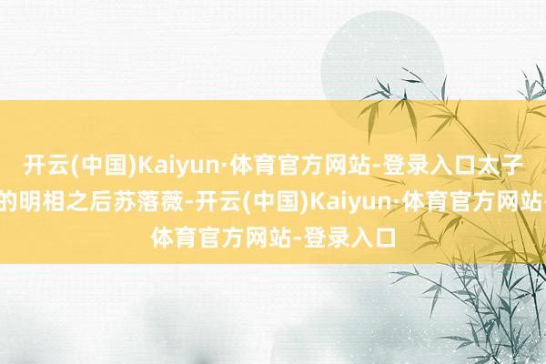 开云(中国)Kaiyun·体育官方网站-登录入口太子竹马之交的明相之后苏落薇-开云(中国)Kaiyun·体育官方网站-登录入口