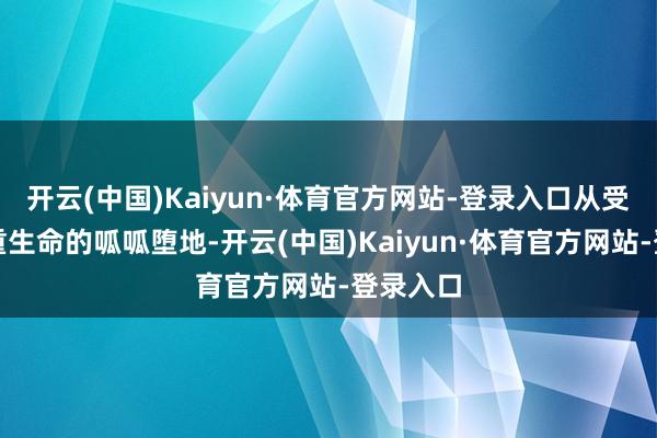 开云(中国)Kaiyun·体育官方网站-登录入口从受精卵到重生命的呱呱堕地-开云(中国)Kaiyun·体育官方网站-登录入口