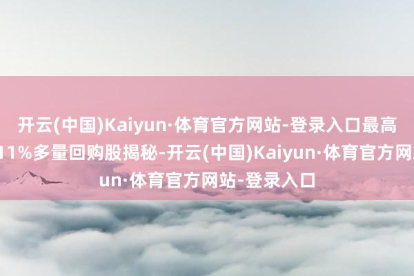 开云(中国)Kaiyun·体育官方网站-登录入口最高股息率接近11%多量回购股揭秘-开云(中国)Kaiyun·体育官方网站-登录入口