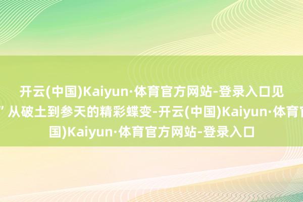开云(中国)Kaiyun·体育官方网站-登录入口见证每一粒“金种子”从破土到参天的精彩蝶变-开云(中国)Kaiyun·体育官方网站-登录入口