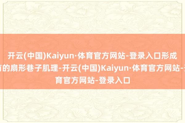 开云(中国)Kaiyun·体育官方网站-登录入口形成老城独有的扇形巷子肌理-开云(中国)Kaiyun·体育官方网站-登录入口