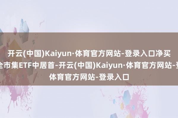 开云(中国)Kaiyun·体育官方网站-登录入口净买入额在全市集ETF中居首-开云(中国)Kaiyun·体育官方网站-登录入口